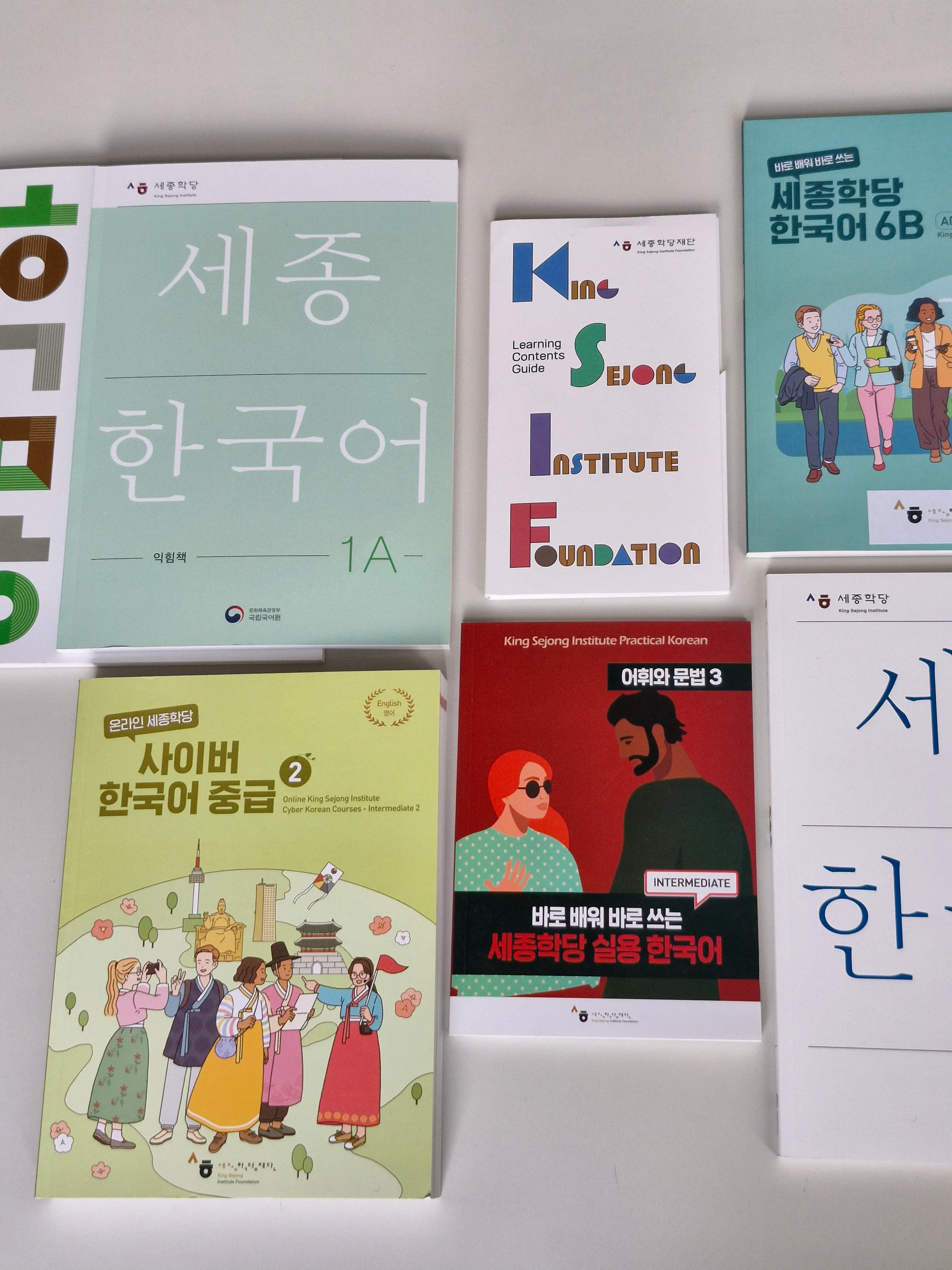 Korean Day -yleisö